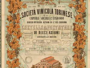 Società Vinicola Torinese
