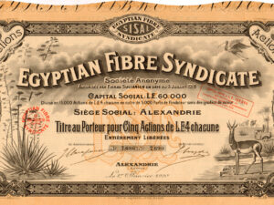 Egyptian Fibre Syndicate - Sisal