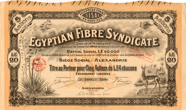 Egyptian Fibre Syndicate - Sisal