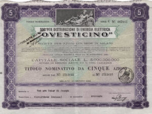 Soc. per Distribuzione di Energia Elettrica “Ovesticino”