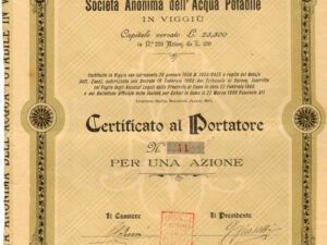 Società Anonima dell'Acqua Potabile in Viggiù