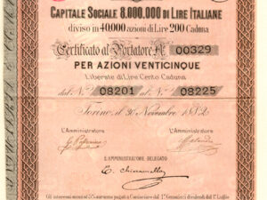 Banca Industria e Commercio