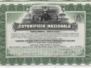 Cotonificio Nazionale